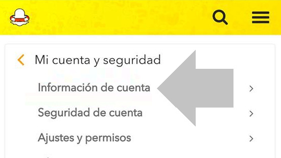 pulsa informacion dela cuenta en snapchat